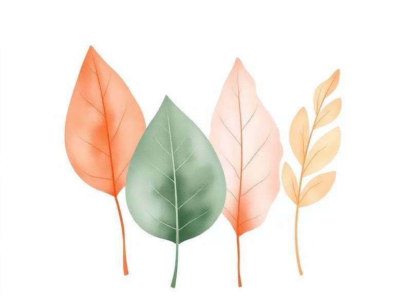 Illustration: De fyra faserna