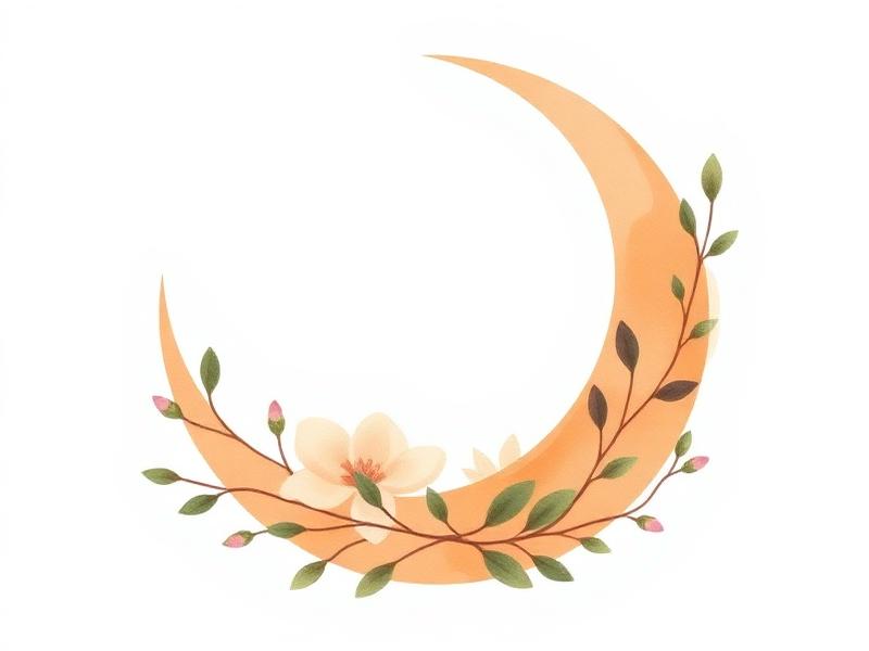 Illustration: Menscykeln
