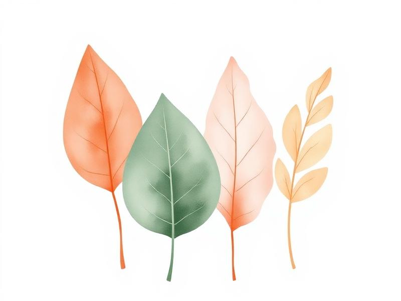Illustration: De fyra faserna